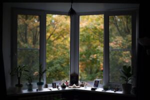 A bay window in a living room showcasing a view of lush trees and vibrant plants outside